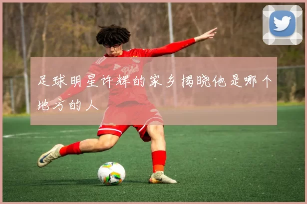 足球明星许辉的家乡揭晓他是哪个地方的人