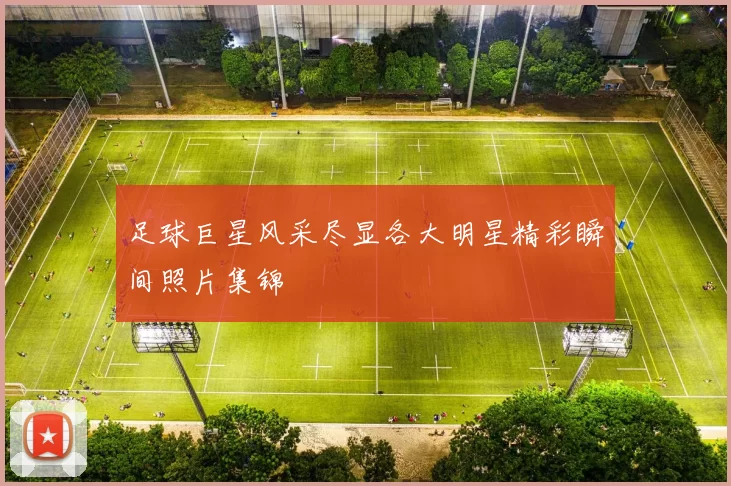 足球巨星风采尽显各大明星精彩瞬间照片集锦