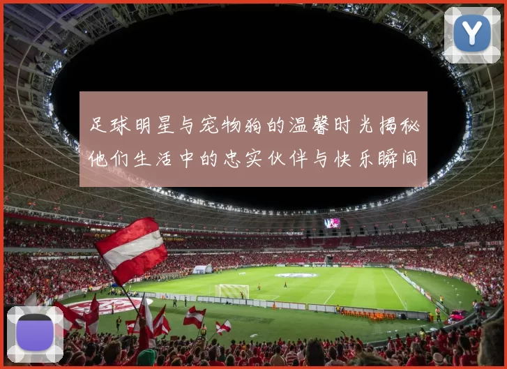足球明星与宠物狗的温馨时光揭秘他们生活中的忠实伙伴与快乐瞬间