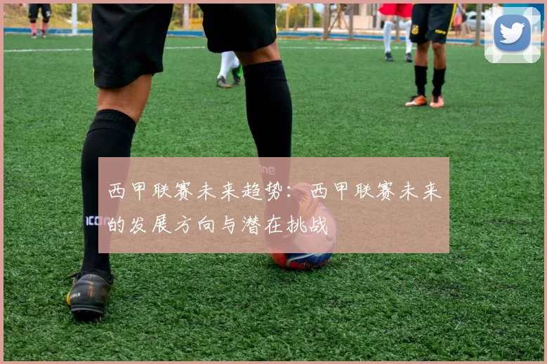 西甲联赛未来趋势：西甲联赛未来的发展方向与潜在挑战