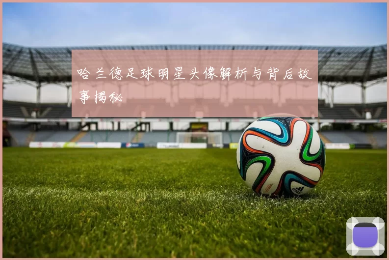 哈兰德足球明星头像解析与背后故事揭秘