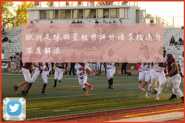 欧洲足球明星经典评价语录精选与深度解读