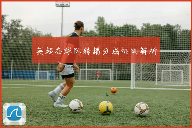 英超各球队转播分成机制解析