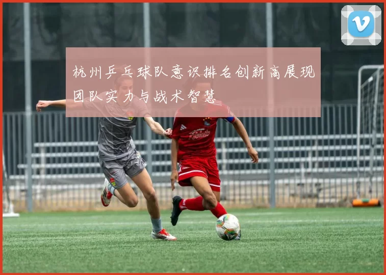 杭州乒乓球队意识排名创新高展现团队实力与战术智慧