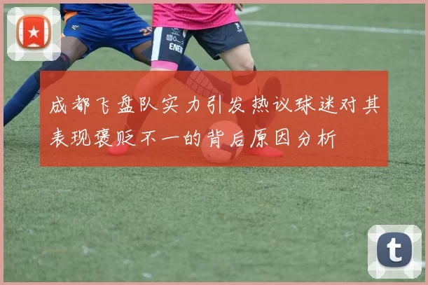 成都飞盘队实力引发热议球迷对其表现褒贬不一的背后原因分析