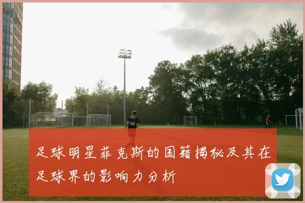 足球明星菲克斯的国籍揭秘及其在足球界的影响力分析