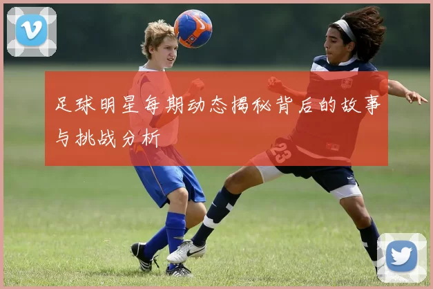 足球明星每期动态揭秘背后的故事与挑战分析