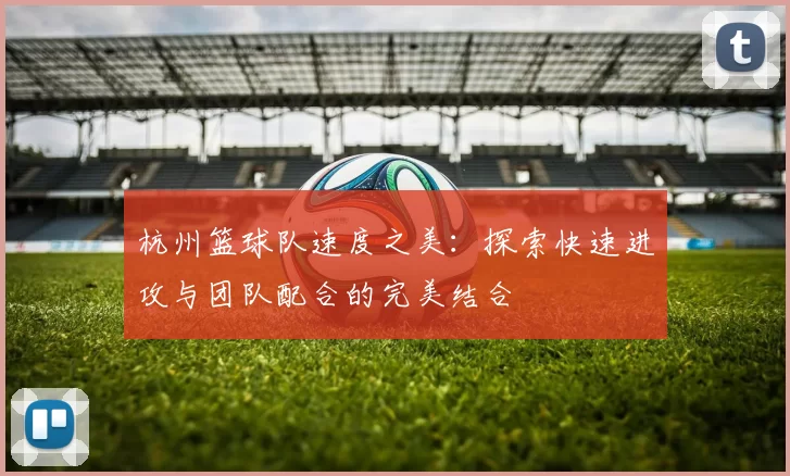 杭州篮球队速度之美：探索快速进攻与团队配合的完美结合