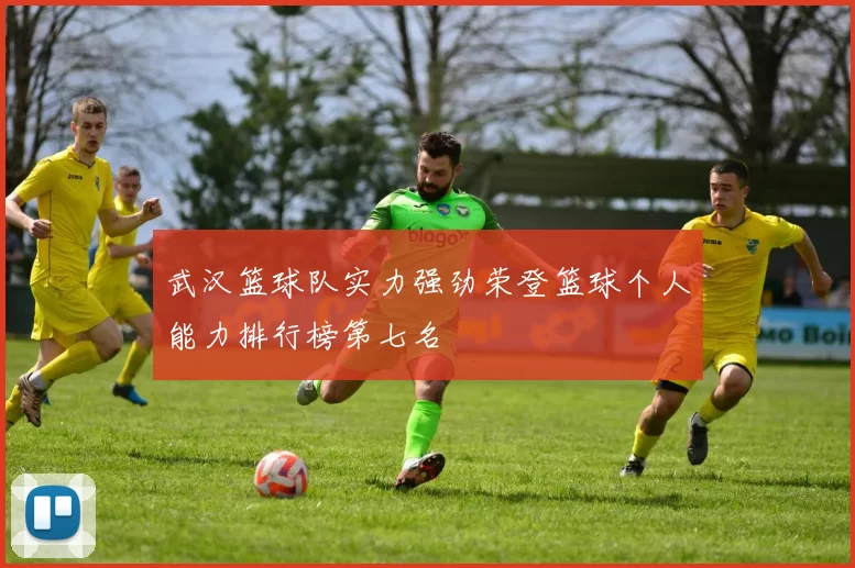 武汉篮球队实力强劲荣登篮球个人能力排行榜第七名