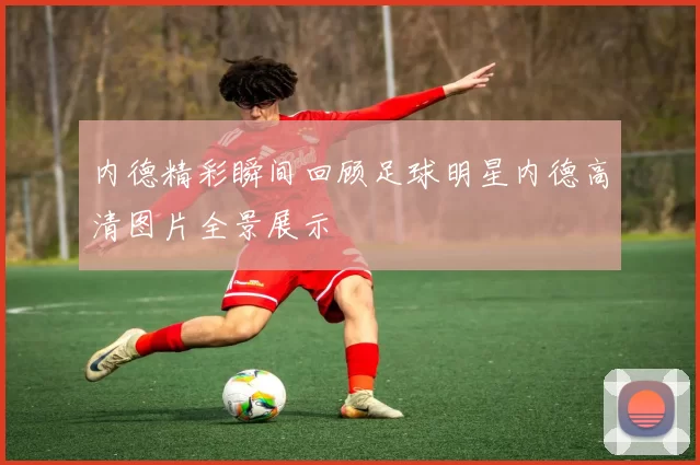内德精彩瞬间回顾足球明星内德高清图片全景展示