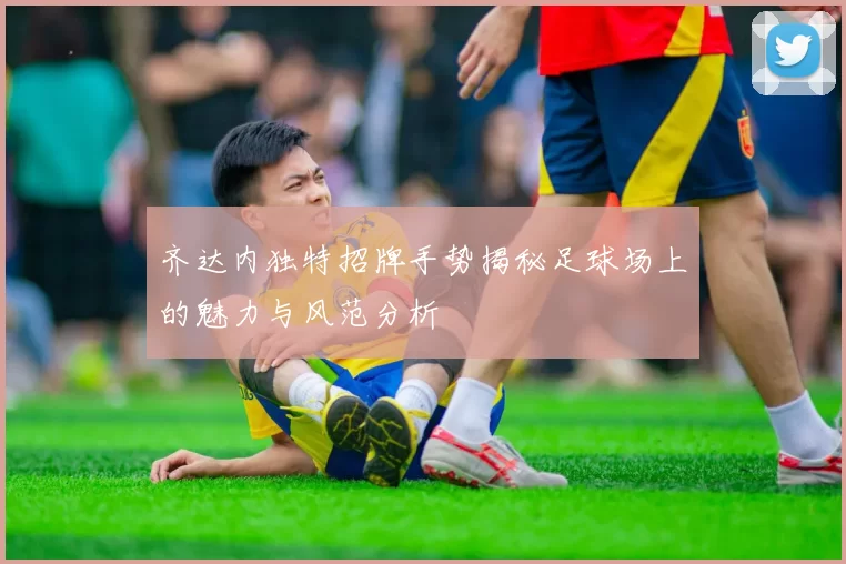 齐达内独特招牌手势揭秘足球场上的魅力与风范分析