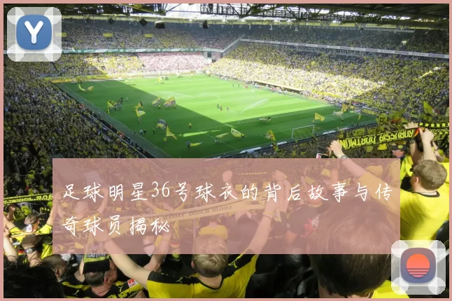 足球明星36号球衣的背后故事与传奇球员揭秘