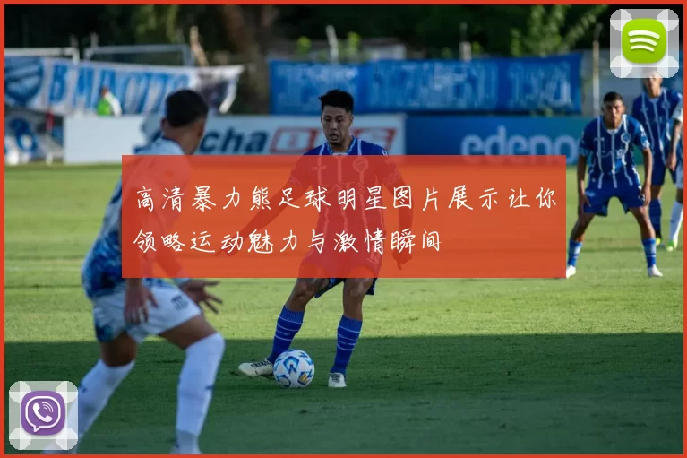 高清暴力熊足球明星图片展示让你领略运动魅力与激情瞬间