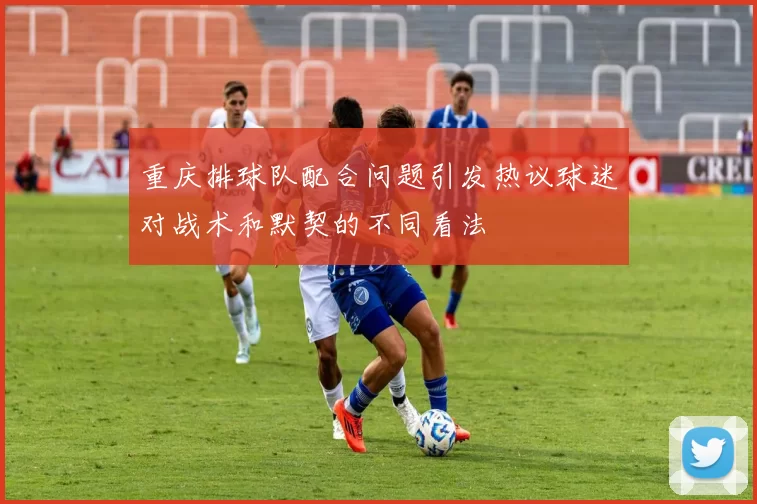 重庆排球队配合问题引发热议球迷对战术和默契的不同看法