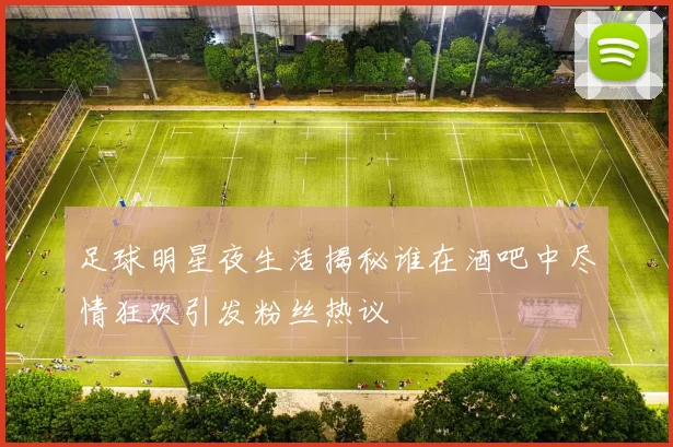 足球明星夜生活揭秘谁在酒吧中尽情狂欢引发粉丝热议