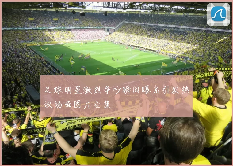 足球明星激烈争吵瞬间曝光引发热议场面图片合集